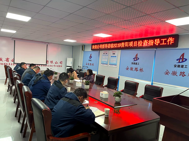公司黨委委員、紀委書記王鵬到S219青陽改建項目調(diào)研指導工作
